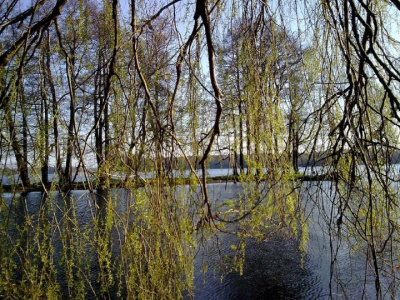 Już niedługo