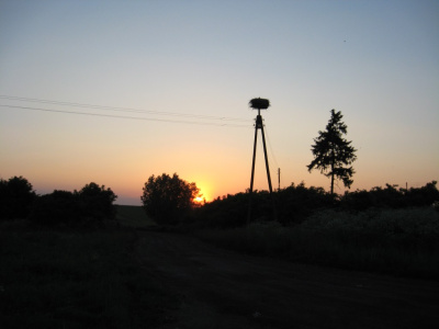 Perspektywa