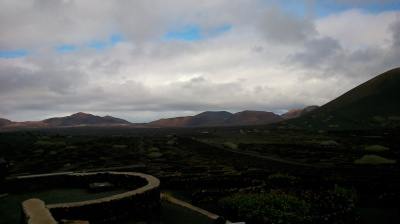 winnica inna niż wszystkie- Lanzarote