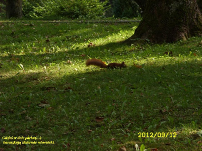 Nałęczowskie mikroklimaty