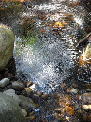 Waterweb