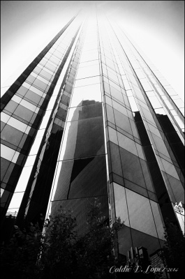 Skyscraper