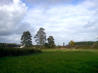 Odległe