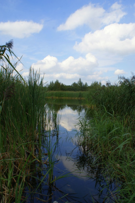 Natura 2