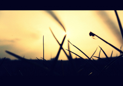 Beautiful World .