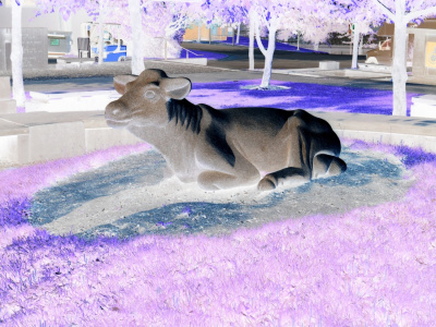 Invert 3