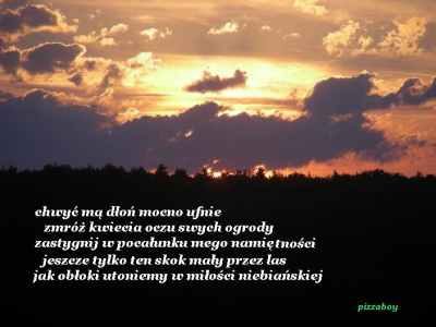 Tylko My