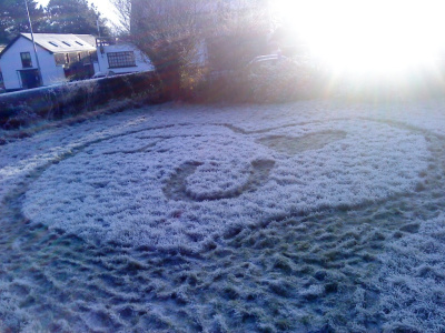Love is everywhere you look