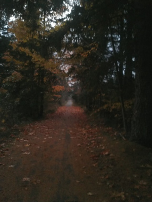 Fall Serenity