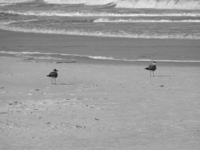 Jekyll Island