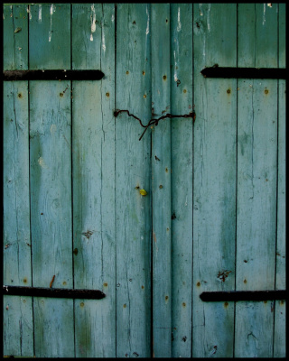 the door(s)