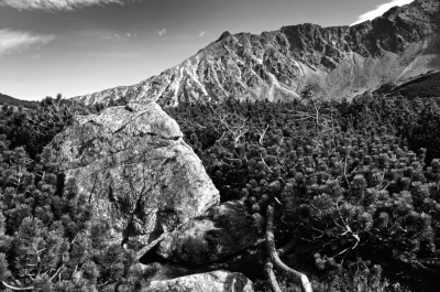 tatry