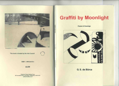 grafitti by moonlight