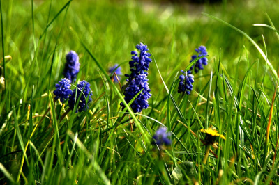 10,07