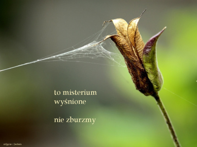 ostrożnie