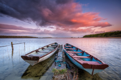 boats