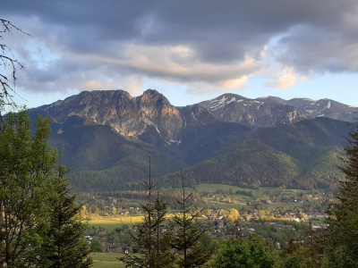 widoczek