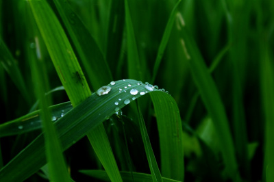aftertherain