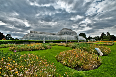 Palmiarnia w Kew Garden
