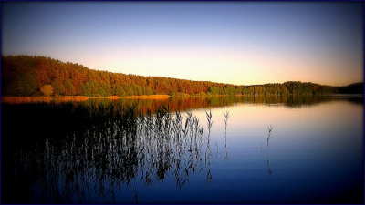 błogość