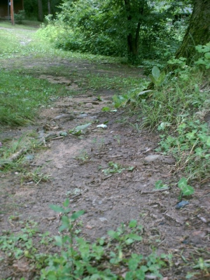 Paths to Nowhere