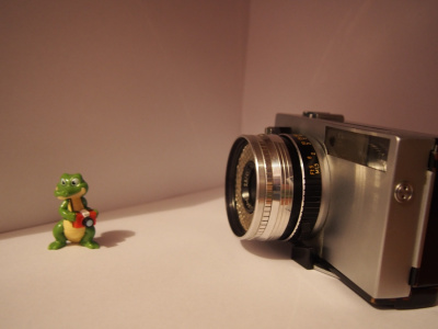 Krokodyli fotograf