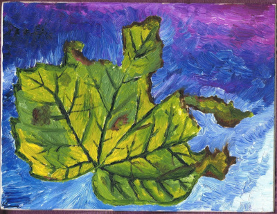 Ye Sycamore Leaf