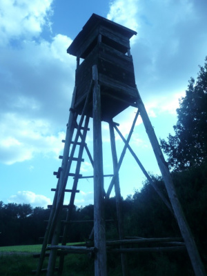 ambona