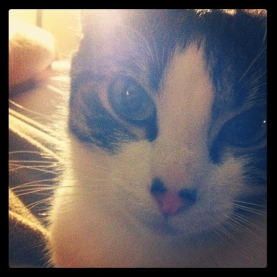 Max