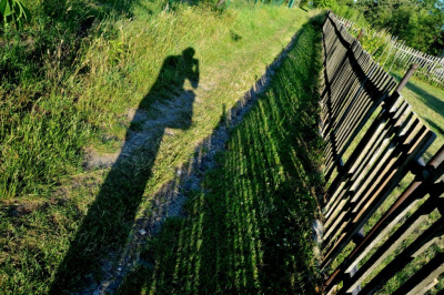 podążając za światłem