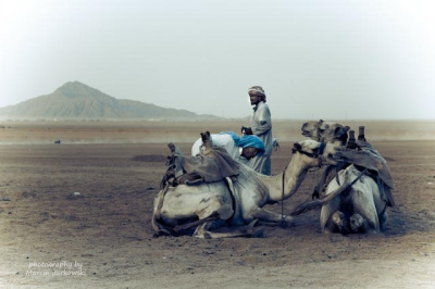 Egypt