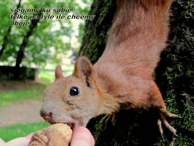 sięganie
