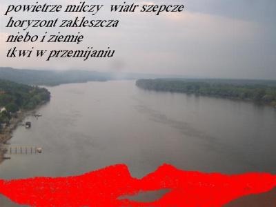widok