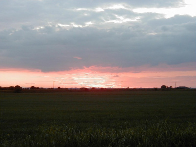 Fenland Night