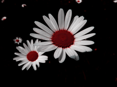 red longing