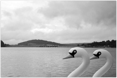 Solina