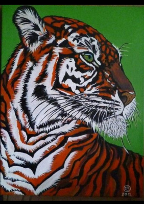 Tygrys 2012