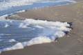Silt Waves at the North Sea