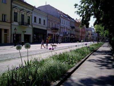 Koszyce II