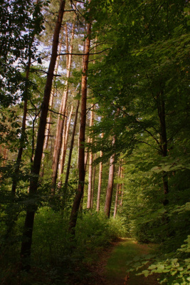 Natura