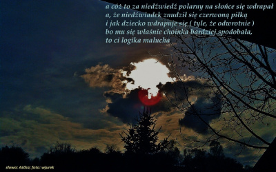 niedźwiadek Aśćki