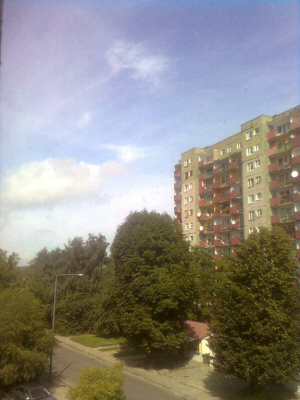 Wspomnienie lata