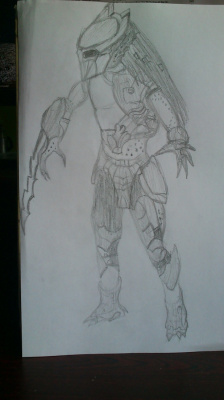 Predator Falconer