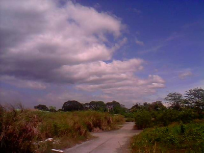 clouds along the road