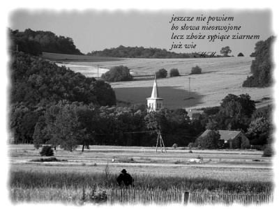Każde źdzbło wie...