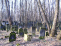 cmentarz żydowski 6