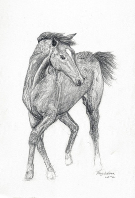 koniek