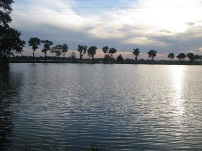 Mazury
