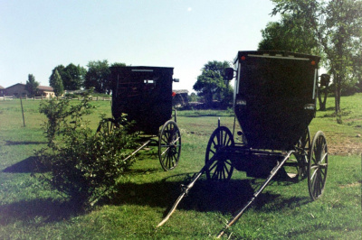 Amish gathering