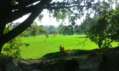 Piotrkowice - brama